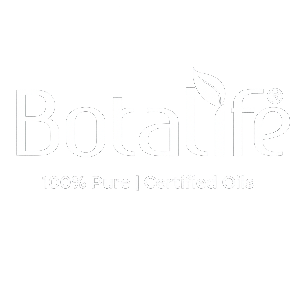 SEOexpert.bg | Store builds | AI SEO and GEO | Fast Migrations 